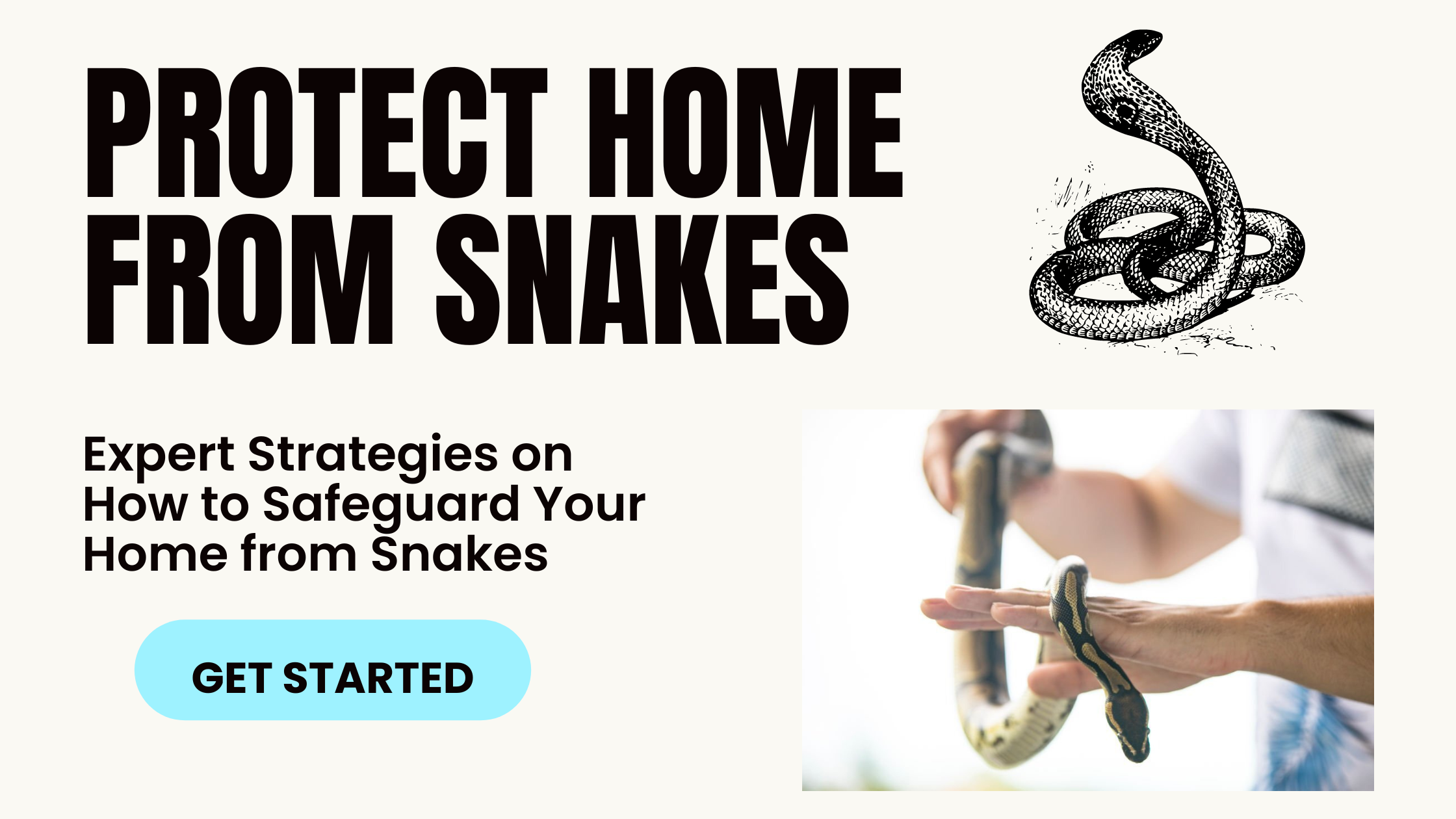 How to Protect Home from Snakes